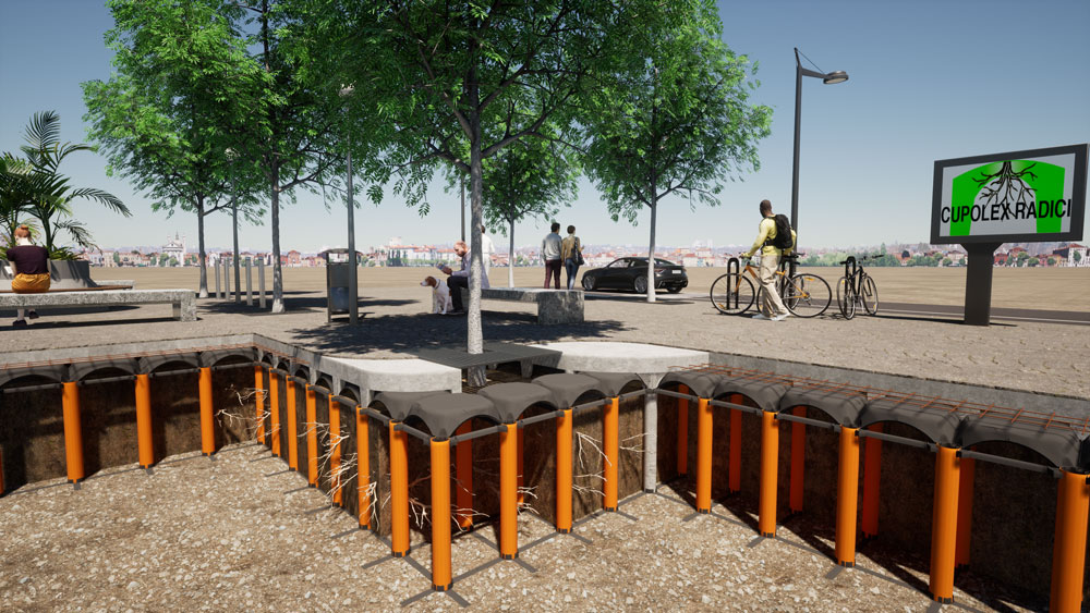 Cebe Cupolex raíces